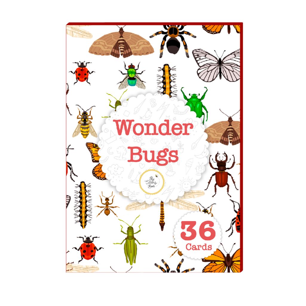 Wonder Bugs Flash Cards